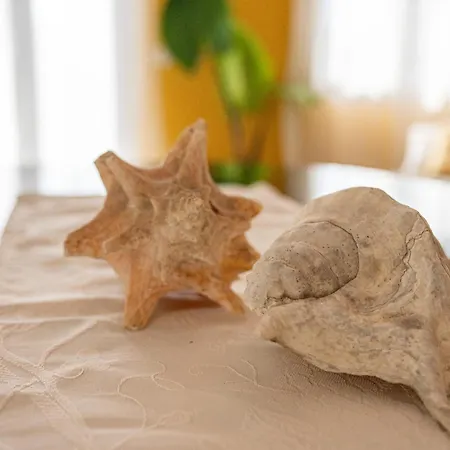 Apartment In Riva